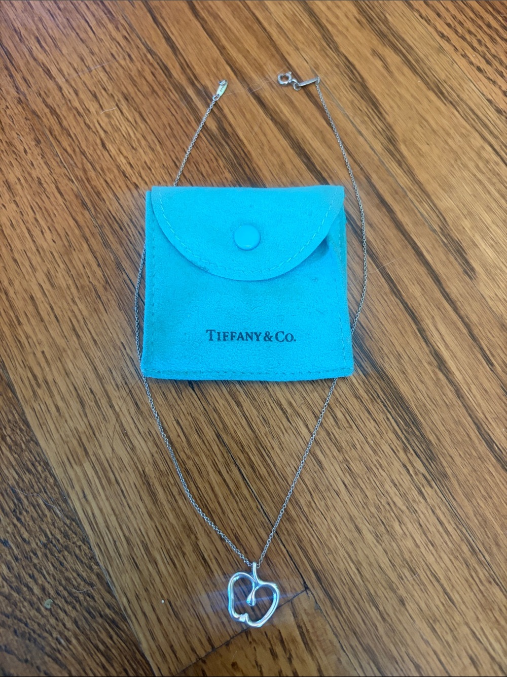 Vintage Tiffany & Co. Silver Apple Pendant Necklace with Blue Pouch